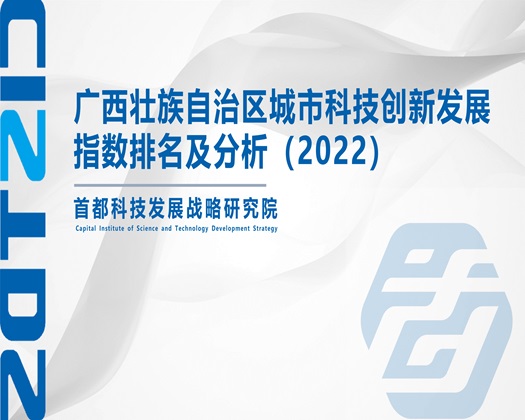 操逼网站sjdhchrhfhxie【成果发布】广西壮族自治区城市科技创新发展指数排名及分析（2022）